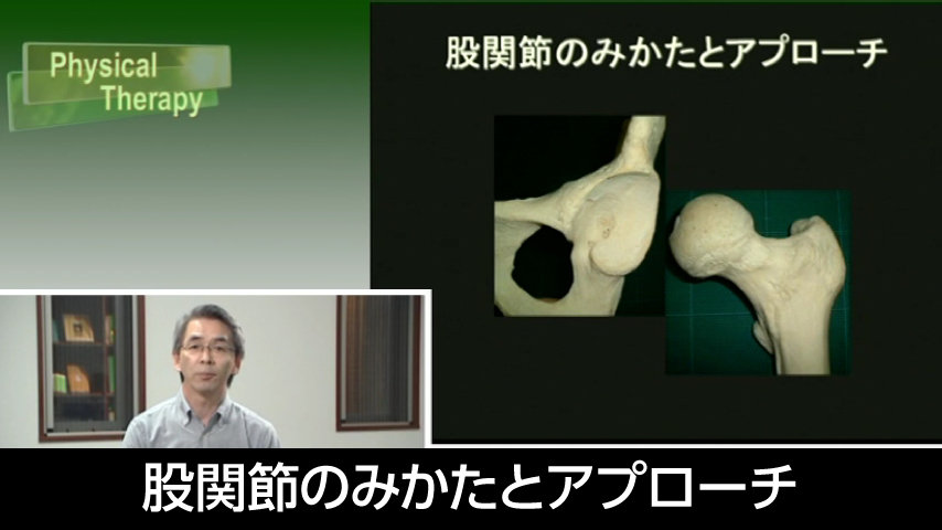 股関節のみかたとアプローチ～股関節の構造とシステムを理解する～