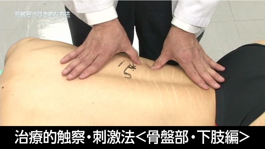 筋および受容器に対する治療的触察・刺激法＜骨盤部・下肢編＞