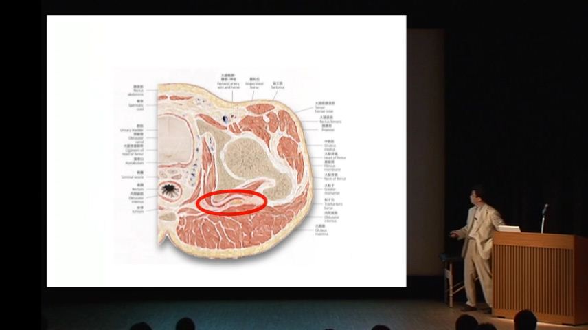 即座に臨床に活かせる！股関節の評価と改善