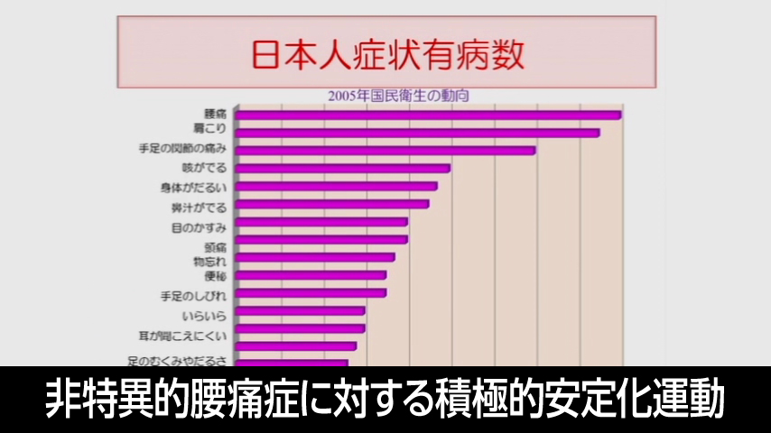 非特異的腰痛症に対する積極的安定化運動の理論と実際
