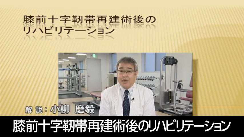 膝前十字靭帯再建術後のリハビリテーション～ACL損傷からの早期復帰と再損傷予防のために～