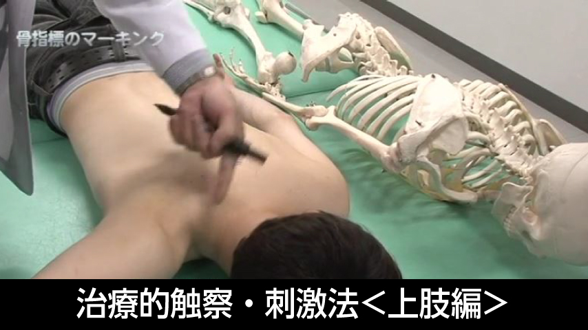 筋および受容器に対する治療的触察・刺激法<上肢編>