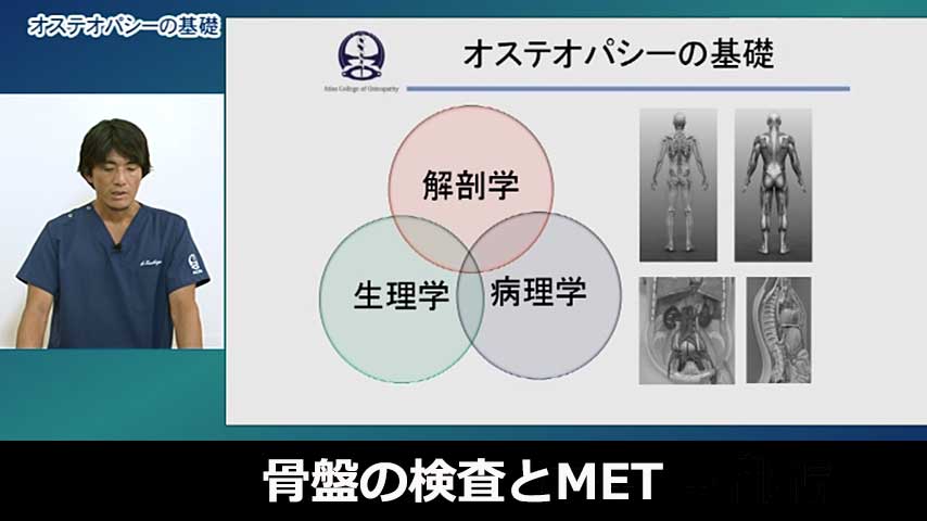 ～ オステオパシー ・ テクニックシリーズ ～　骨盤の検査とMET