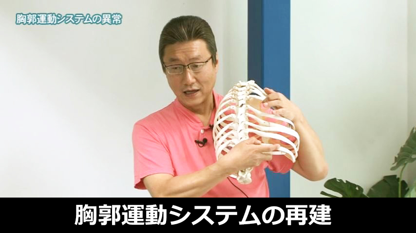 胸郭運動システムの再建法セミナー～ レッドコードを利用した治療戦略 ～