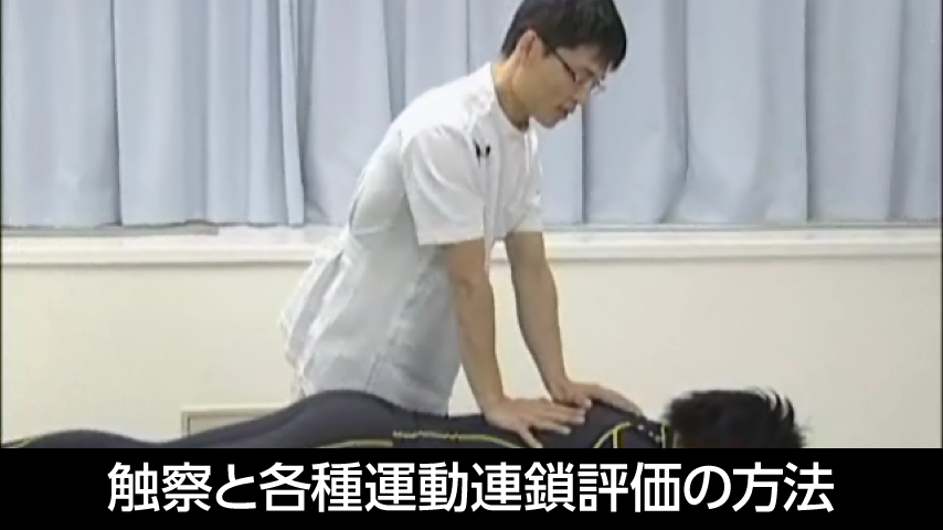 運動連鎖アプローチ～触察と各種運動連鎖評価の方法～