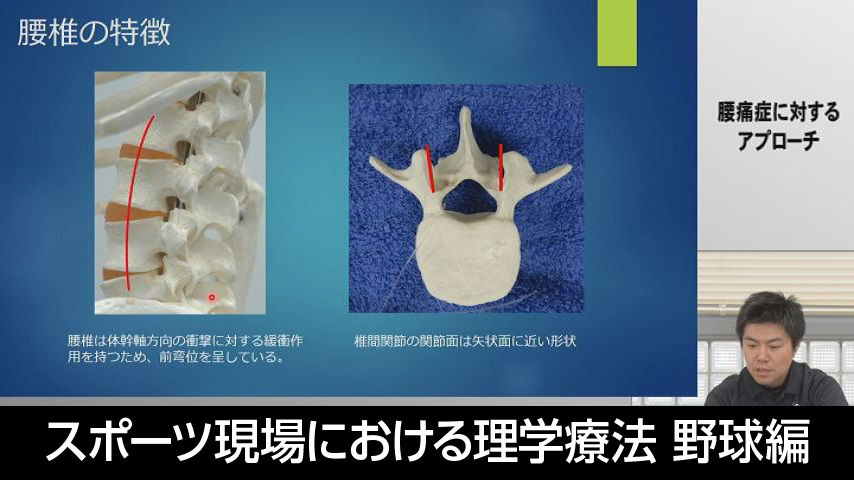 スポーツ現場における理学療法　野球編