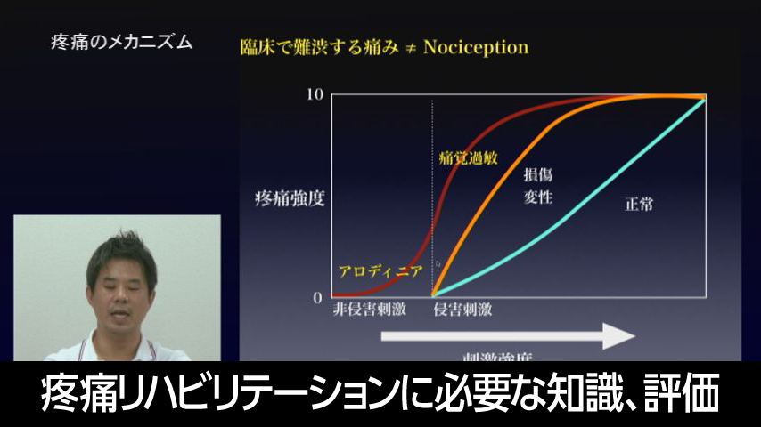 疼痛リハビリテーションに必要な知識、評価