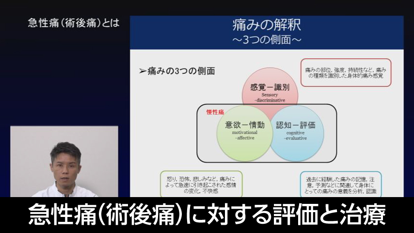 7. 急性痛（術後痛）に対する評価と治療