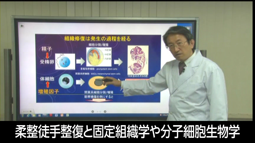 柔整徒手整復と固定組織学や分子細胞生物学を基本にして